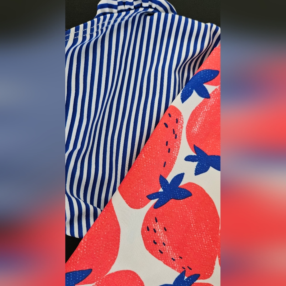 Strawberry and stripes 2 piece swimsuit NWT